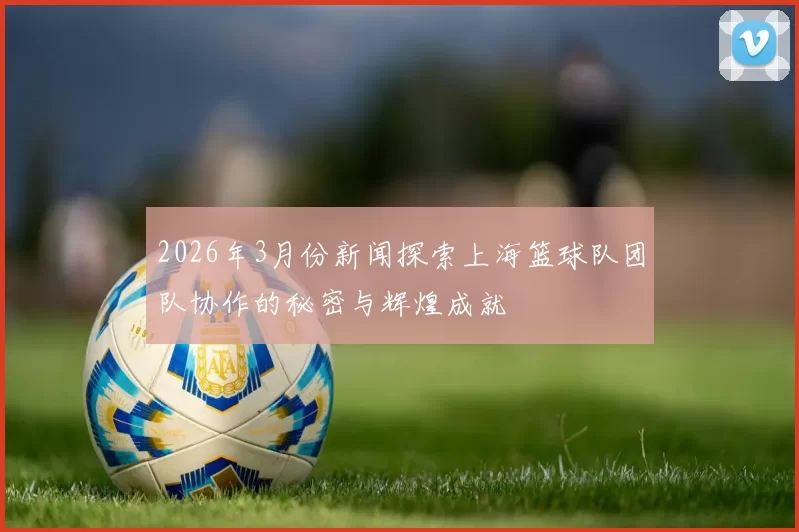 2026年3月份新闻探索上海篮球队团队协作的秘密与辉煌成就